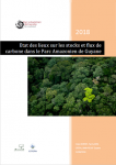Etat des lieux sur les stocks et flux de carbone dans le Parc amazonien de Guyane (2018)