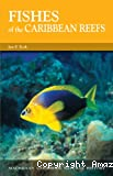 Fishes of the Caribbean reefs