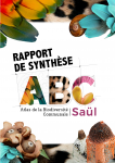 Rapport de synthèse ABC de Saül