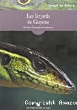 Les lézards de Guyane