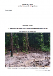 La politique française de lutte contre l'orpaillage illégal en Guyane