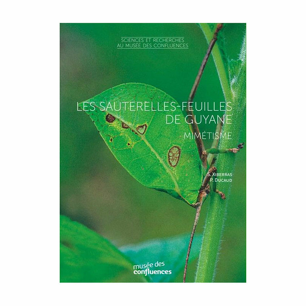 Les Sauterelles-feuilles de Guyane