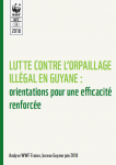 LUTTE CONTRE L’ORPAILLAGE ILLÉGAL EN GUYANE : orientations pour une efficacité renforcée