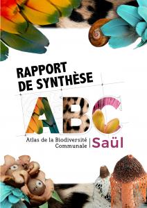 L'ABC de Saül a son rapport de Synthèse